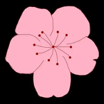 快播app图片